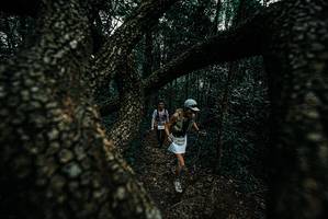 BIB: 
                            <button type="button" onclick="openModal(25689900)" class="btn btn-primary btn-sm float-right btn-popup" data-toggle="modal" data-target=".modal-high-quality">
                        <i class="fas fa-shopping-cart"></i> Add to Cart
                    </button>
                                            <button type="button" onclick="isThisMe(25689900, true)" class="btn btn-success btn-sm float-right btn-popup btn-isme hidden" data-toggle="tooltip" data-placement="bottom" title="นี่คือรูปของคุณใช่ไหม คลิกที่นี่เพื่อเอาเข้าอัลบั้ม">
                        <i class="fas fa-plus"></i> Add to album
                    </button>
                    <button type="button" onclick="isThisMe(25689900, false)" class="btn btn-warning btn-sm float-right btn-popup btn-isnotme hidden">
                        <i class="fas fa-ban"></i> Remove from album
                    </button>